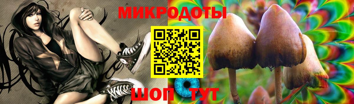 Галлюциногенные грибы мицелий  Вход с VPN  наркотики  Выкса  Псилоцибиновые грибы Psilocybe 